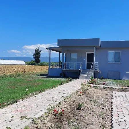 Apolin House מוגלה